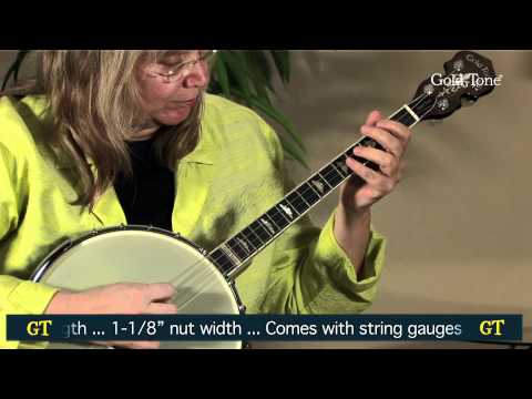 Gold Tone IT-250 4-String Openback Irish Tenor Banjo w/case image 2