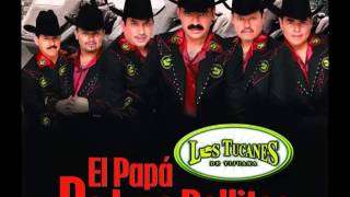 los tucanes de tijuana - el papa de los pollitos (version banda sinaloense)