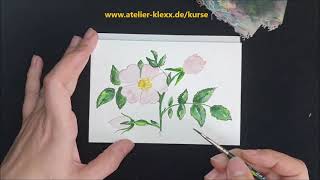 Online-Workshop Zarte Blumen & Blüten in Aquarell ... bist Du dabei?