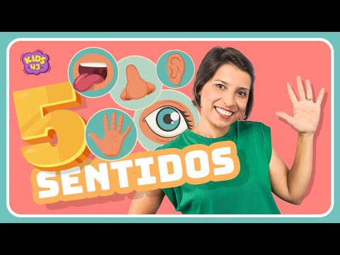Kids 43 | Cinco sentidos