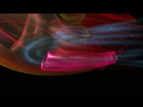 Shape of Life: Molluscs - The Survival Game