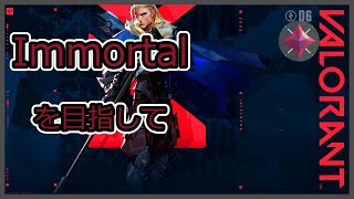 immortalを目指して　アナザーのvalorant成長日記#1