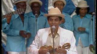 Paulinho da Viola - Foi um Rio que passou em minha vida