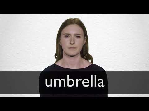 Umbrella meaning in hindi online