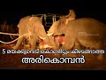 5 മയക്കുവെടി കൊണ്ട അരിക്കൊമ്പൻ നിസാര�
