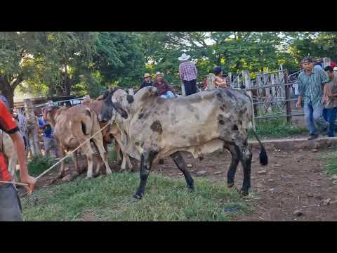Nueva Guadalupe, San Miguel, El Salvador, miércoles 08 de julio 2026