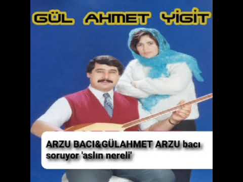 GülAhmet & Arzu bacı atışma,       Arzu bacı: aslın nedir senin gardaş