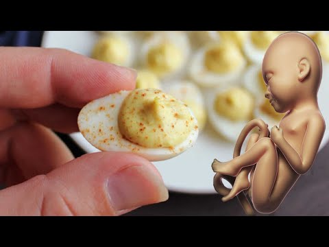 , title : 'هذا ما يحدث للحامل والجنين عند أكل بيض السمان كل يوم !'