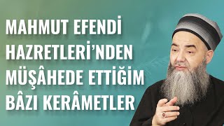 Mahmut Efendi Hazretleri'nden Müşâhede Ettiğim Bâzı Kerâmetler