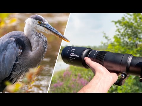 Video thumbnail for TTartisan 500 mm f/6.3 review 1
