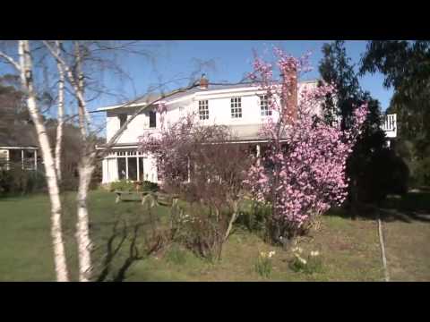 Ant Manton Presents - 9 Talune Street, Lindisfarne