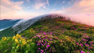 Mahler -