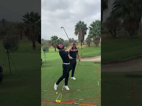 Stack&Tilt Camp - Flexion v Extension