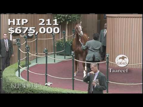 Taareef as a Keeneland September Yearling