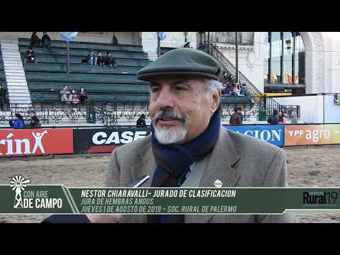 Néstor Chiaravalli - Jurado - Jura de Hembras Angus - Palermo 2019