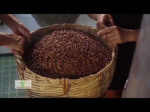 NGƯỜI HOA MANG NGHỀ LÀM TƯƠNG HỘT TỚI BẠC LIÊU