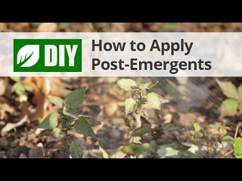 How To Apply Post-Emergent Herbicide Weed Killers