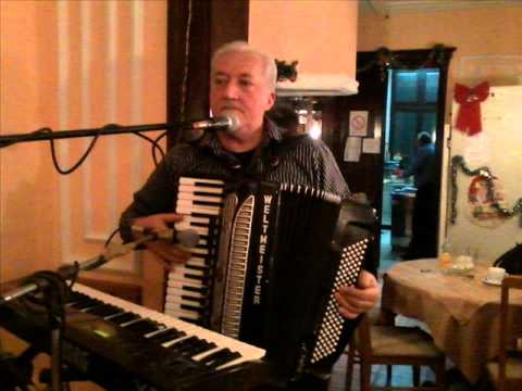 Branislav Milovanovic Baja - Markovo vlasko kolo