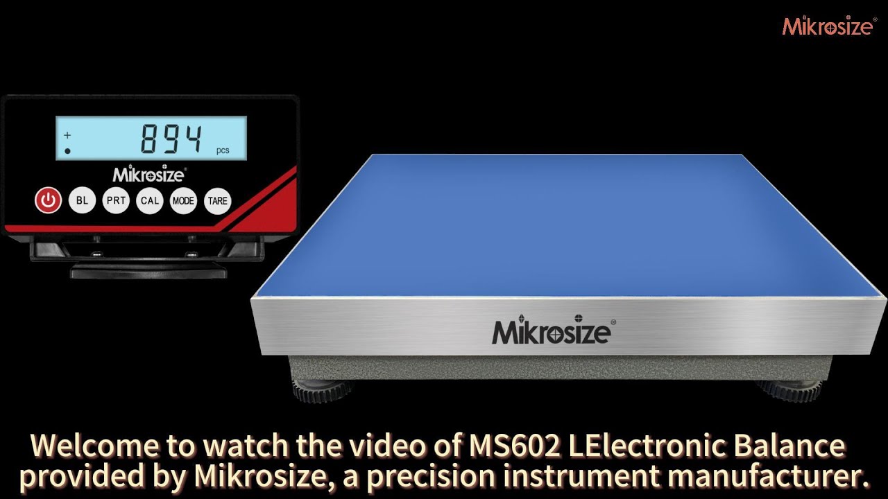 MS63B/MS21D/MS602L Electronic Balance