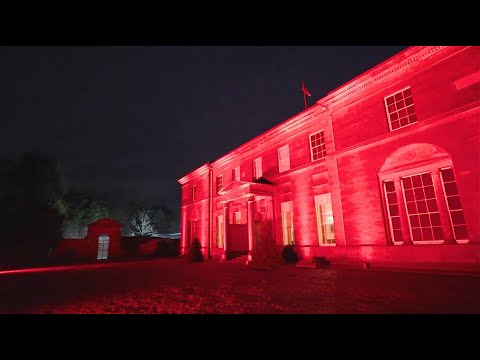 Virtuoso Vow Renewal Designers Taylor Lynn Corporation 1