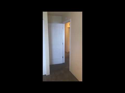 Ducks Nest - Video 2 of 3