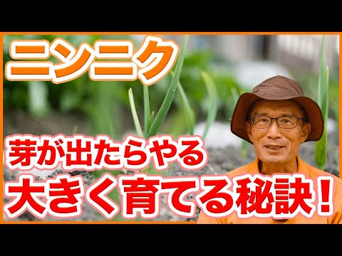 IUCN分類における絶滅の危険性を示す図。