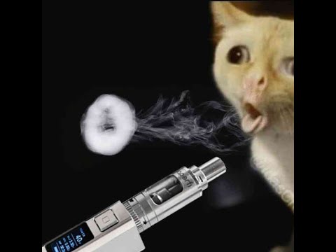 XIXIXI NGAKAK ABIIIEEEZZ