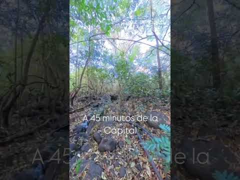Venta de finca ganadera en San Francisco Libre, Managua. #ventadefincas #managua #bienesraices