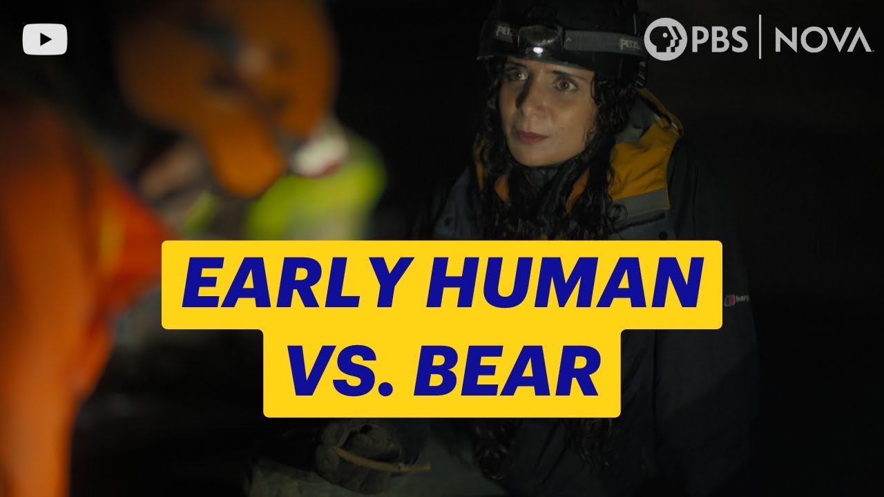 Would You Face a Bear With a Spear? Ancient Humans Might Have | NOVA | PBS