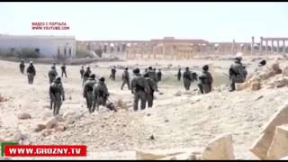 Из Сирии снова приходят сообщения о зверствах террористов