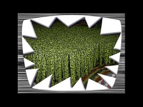 Bestrijdingsmiddelen tijgermug illegaal