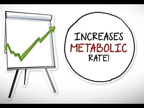 ketotifen price in india