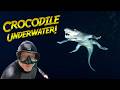 UNDERWATER Encounter With Huge CROCODILE