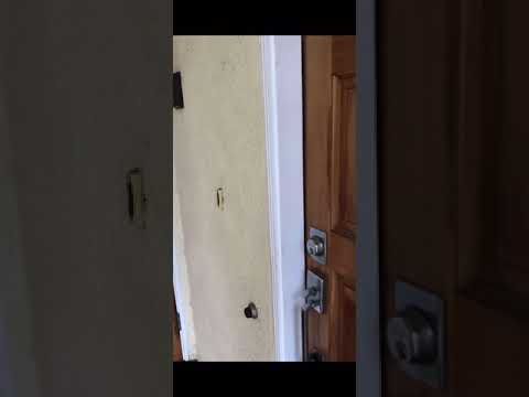 Beautiful Santa Monica Room for Rent