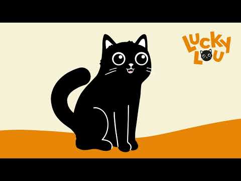 Lucky Lou - mein Futterkonzept