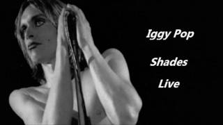 Iggy Pop - Shades ( Live )