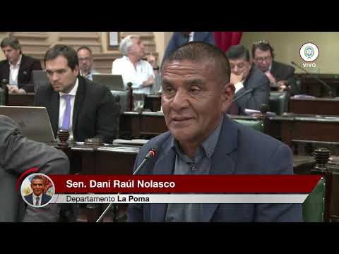 Senador Dani Nolasco - Carta Orgánica de El Galpón