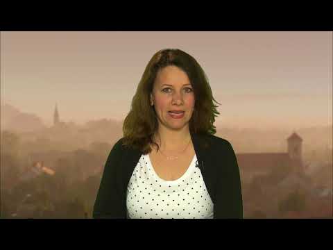 JTV Híradó 2018/17 - 2018.04.29.