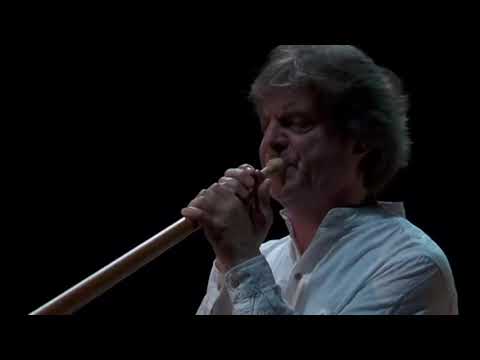 Shilkloper (Alphorn), Matsuev (Piano), Ivanov (Bass), Sevastyanov (Drums). Annecy Classic Festival