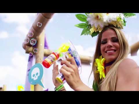 Digital Farm Animals - Last Night - (Videomix)