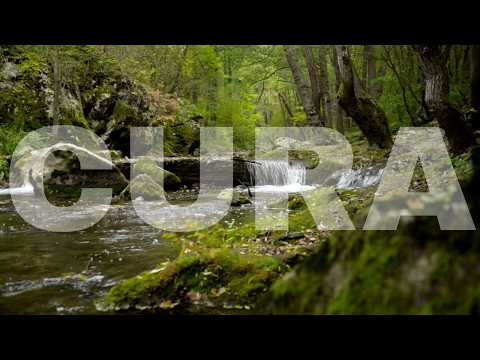 Inexplicável o Poder de Cura desta Musica | Relaxar a Mente | Sons da Natureza Para Dormir #1