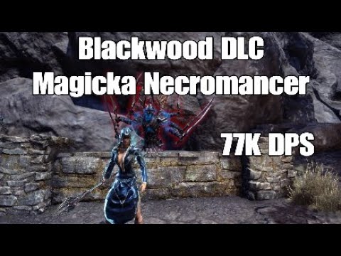 Eso Magicka Necromancer 77K Dps Blackwood DLC