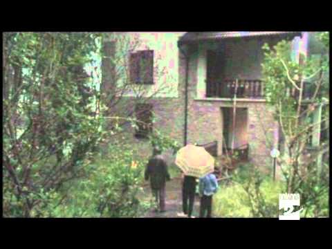 Castione brucia villetta colpita da fulmine Antenna 2 TV 280511.mpg