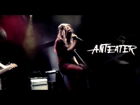Anteater - Anteater - The Other Side (live video)