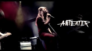 Video Anteater - The Other Side (live video)