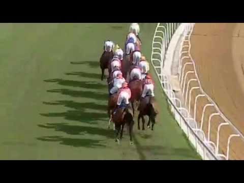 2015.07.04 Gold Vase (RSA) - Heart of A Lion