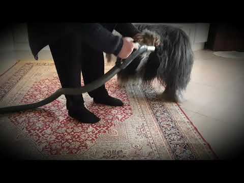 Chili vc støvsuger 😉