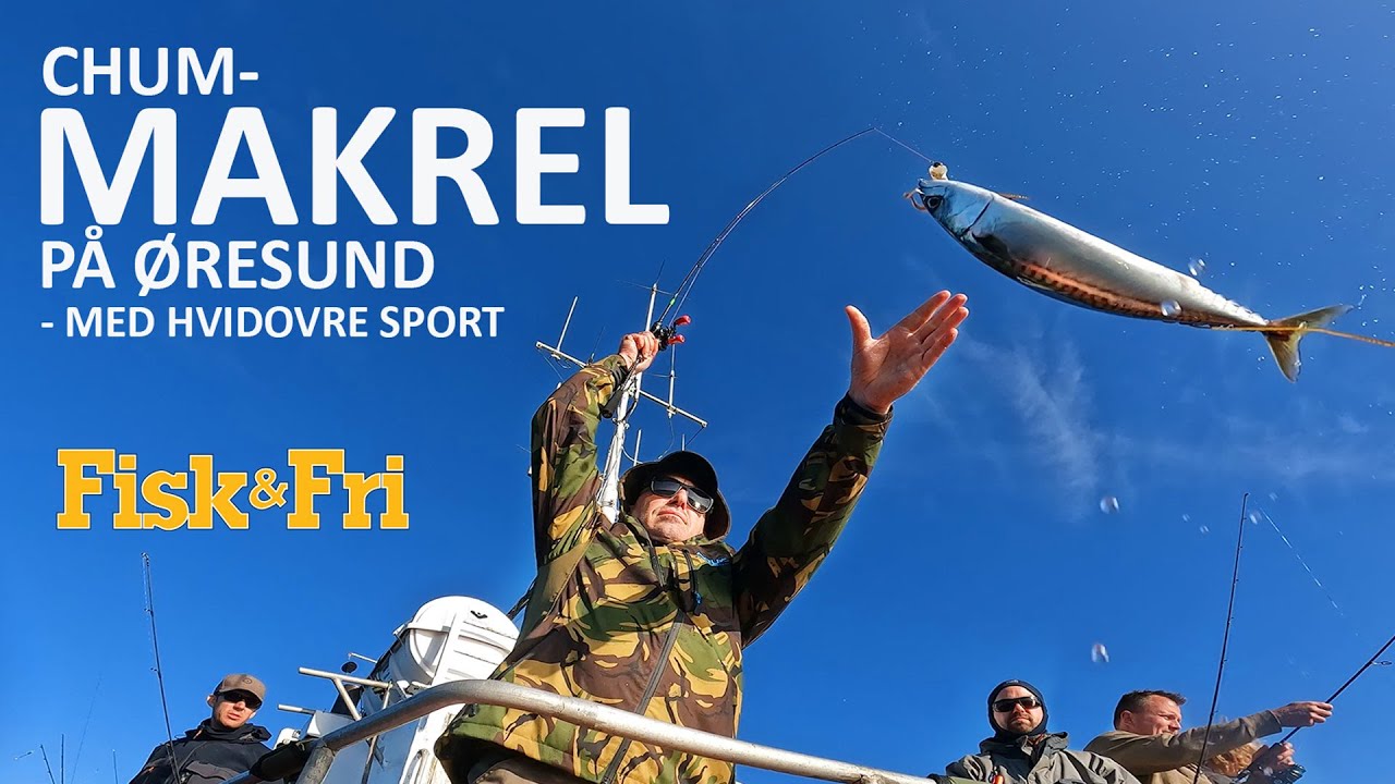 NY VIDEO: CHUM MAKREL – MED HVIDOVRE SPORT PÅ ØRESUND