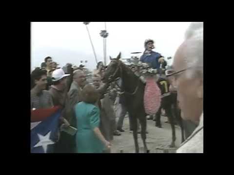 MISTER FRISKY - Santa Anita Derby (Track Video)