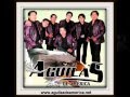 AGUILAS DE AMERICA Dimelo Dimelo Letra